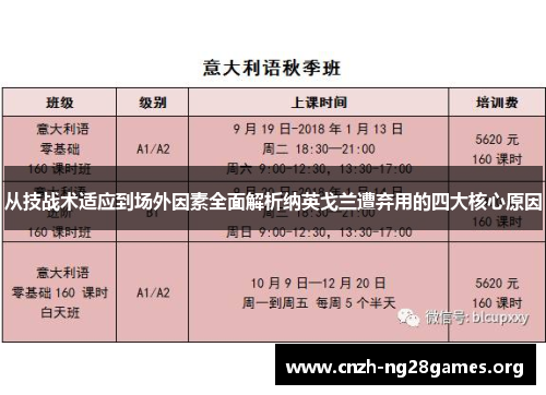 从技战术适应到场外因素全面解析纳英戈兰遭弃用的四大核心原因